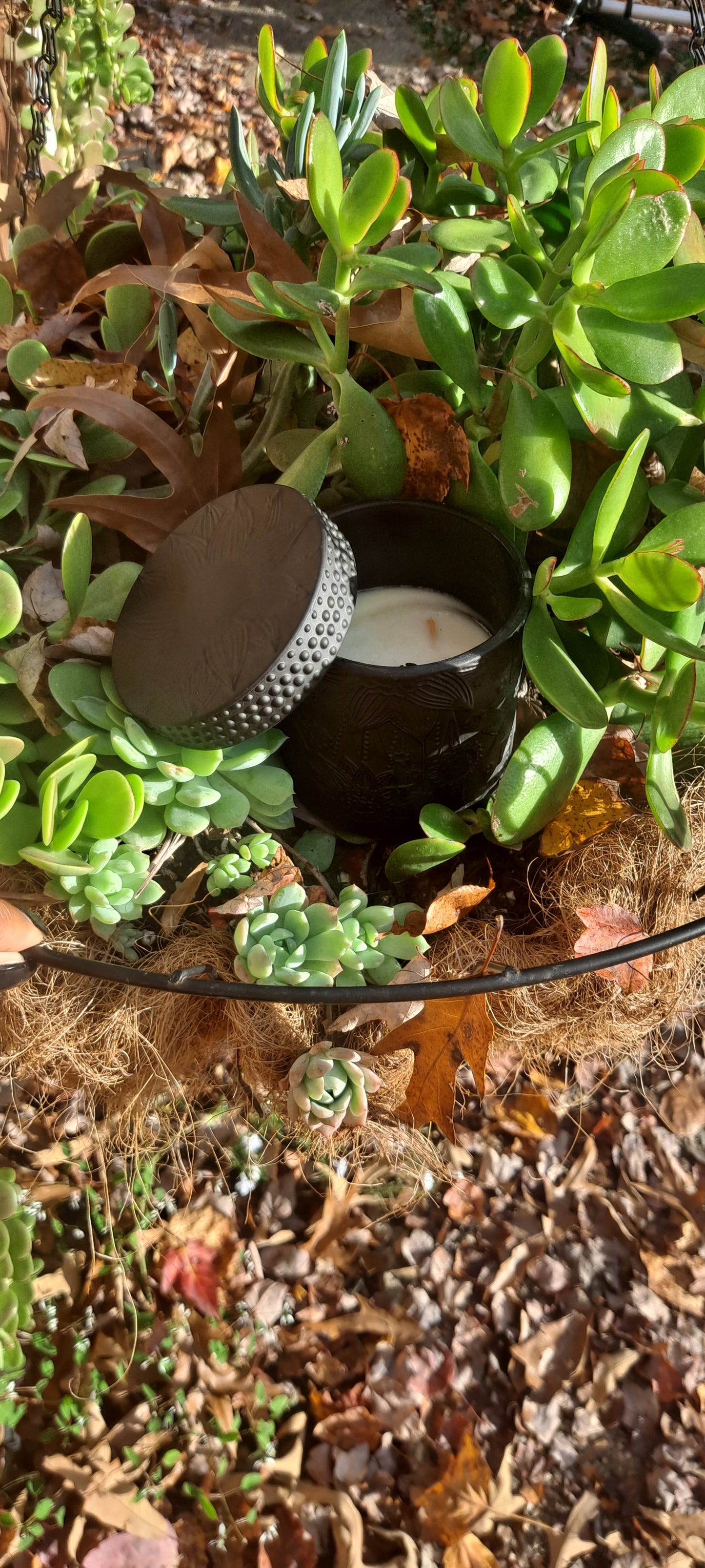 Elysian Forest Candle