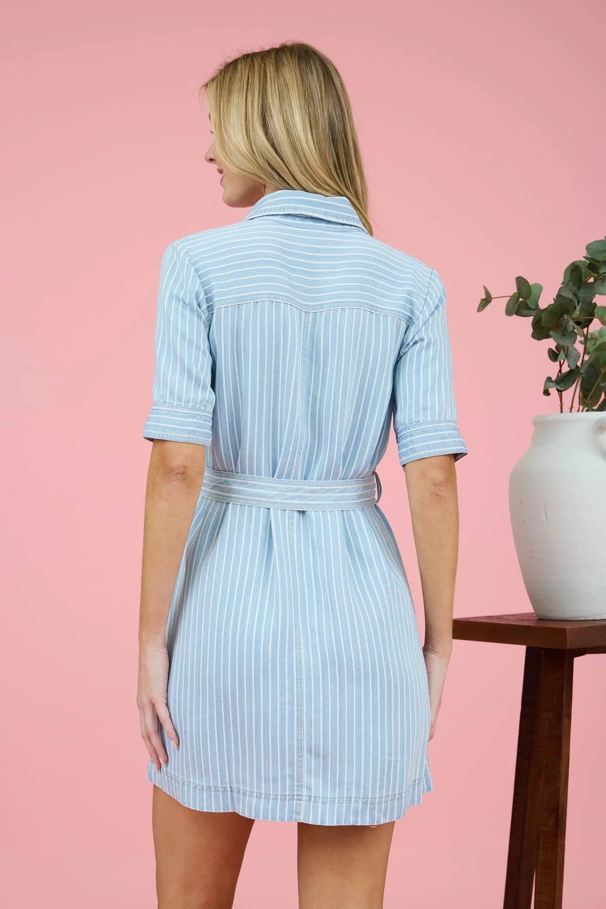 The Monroe Pinstripe Dress