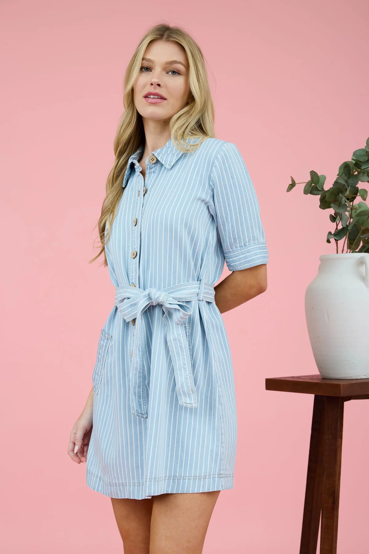 The Monroe Pinstripe Dress